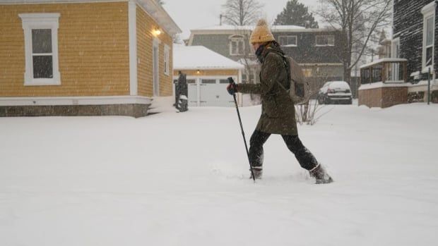 A person using snowshoes and ski poles to get through a blanket of snow on the ground.