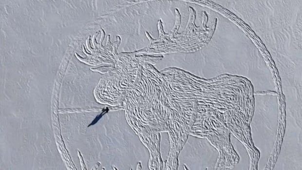 Massive moose made in snow with meticulous footprints 'very Canadian,' says artist