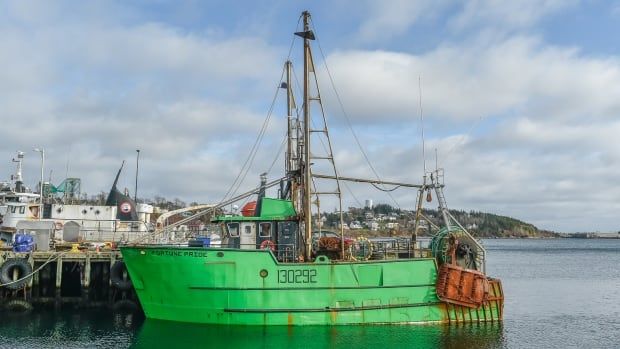 A green fishing boat is seen docked in Lunenburg Harbour. 