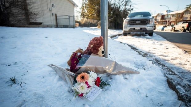 Teddy bear and flowers on snow.