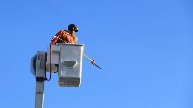 A worker in personal protective equipment is in a truck's bucket lift in the sky. They're holding a small saw used to trim trees in the air.