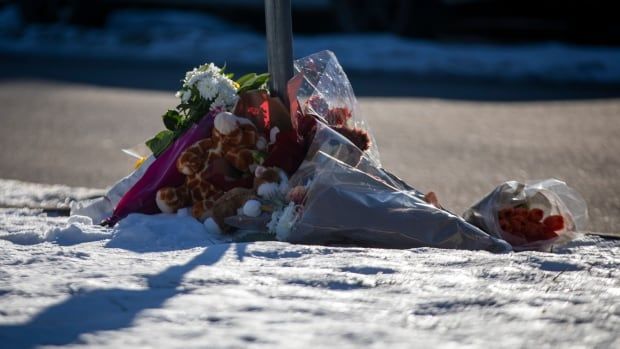 Flowers laid on snow,