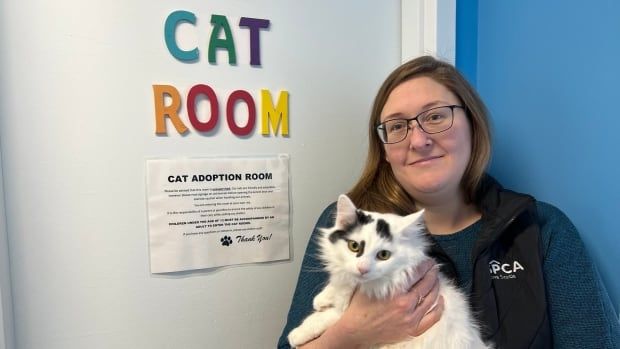 SPCA worker holding a furry white and black cat.