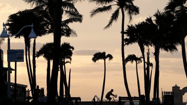 A cyclist pedals beside a beach at sunset.