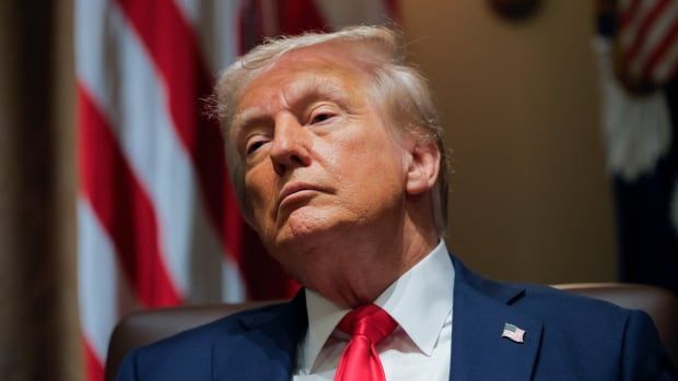 President Donald Trump listens during a Cabinet meeting at the White House in Washington, Tuesday, Feb. 26, 2025.