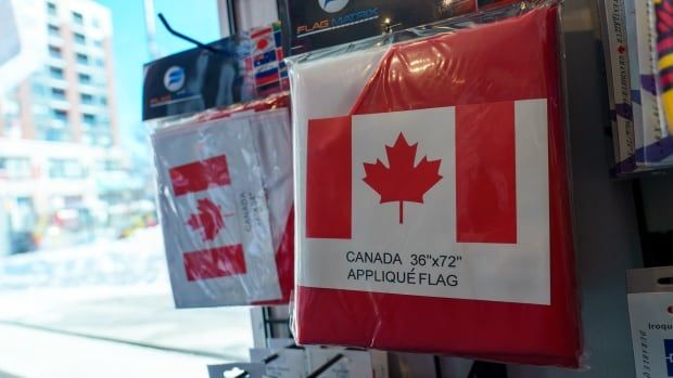 Canadian flag in a bag handing up for sale in a store window.