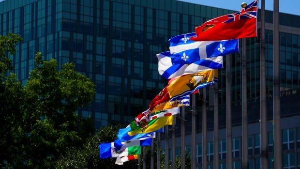 A row of provincial and territorial flags on poles blow in a summer wind.