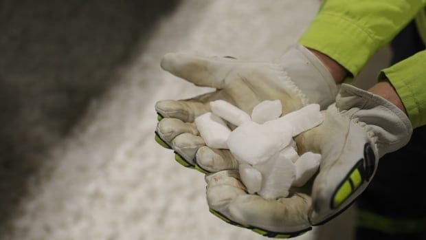 A pair of glove covered hands hold several white, crystalline objects.