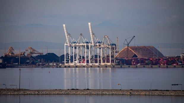 Stacks of coals, large boxes and cranes are seen at a cargo port.