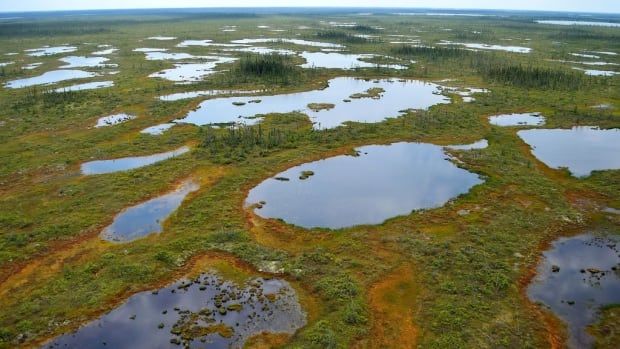 A picture of peatlands from above.