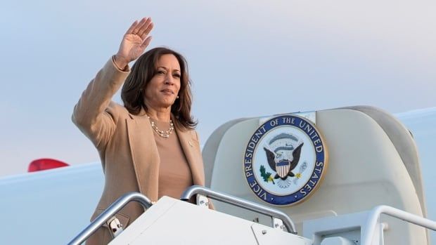 A person waves as they board an airplane.