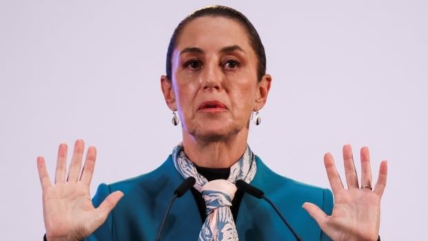 Mexican President Claudia Sheinbaum speaks at a news conference held at the National Palace in Mexico City.