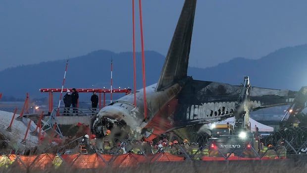 Officers surrounding a plane crash.