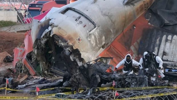 Rescue team members work at the site of a plane crash.