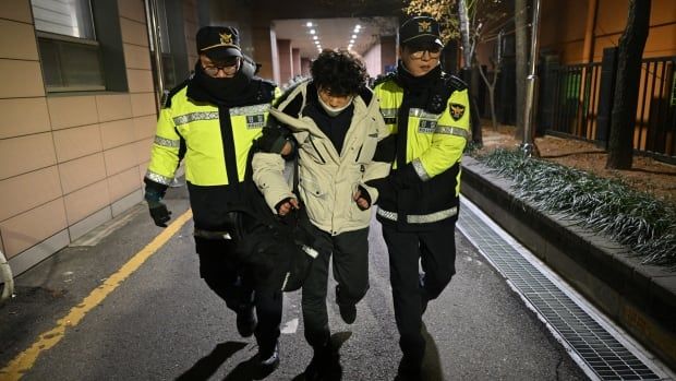 Police officers detain a person.