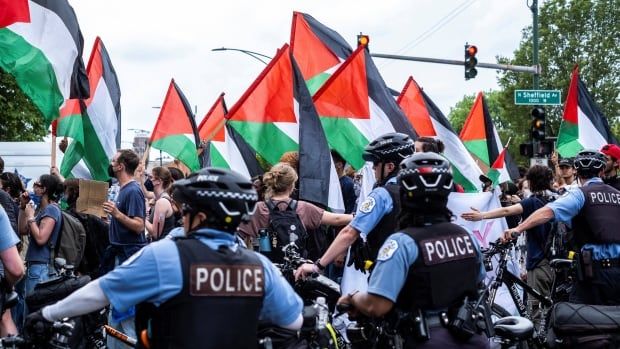 Police officers stand beside their bicycles, behind a group of protesters holding flags. 