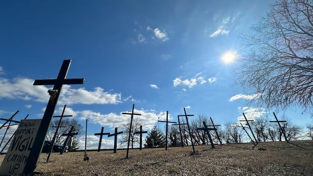 Crosses in a field beneath a blue sky with the sun shining down.