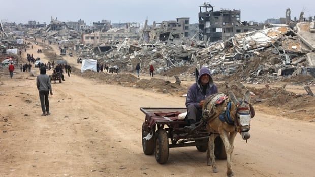  A man rides in a donkey-pulled cart past the rubble of destroyed buildings.