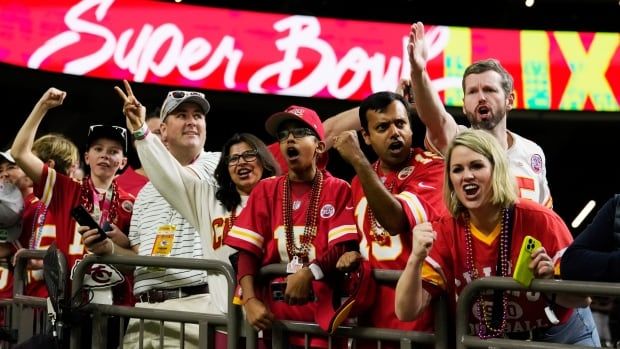 Sports fans gesture and cheer in the stands.