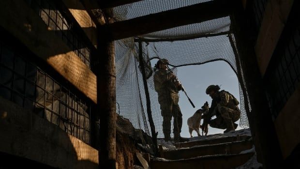 Two Ukrainian soldiers stand alongside a dog in Ukraine's Zaporizhzhia region.