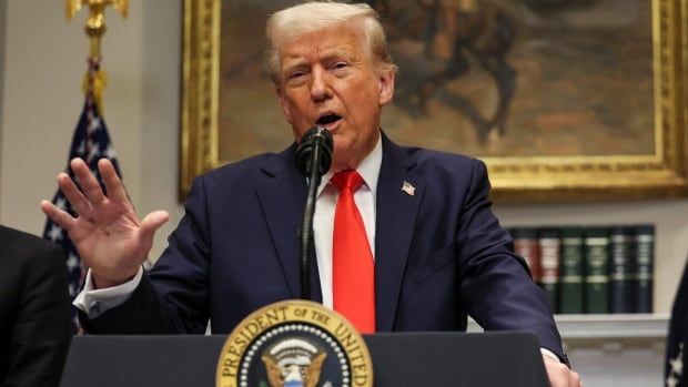 U.S. President Donald Trump speaking in the Roosevelt Room at the White House.