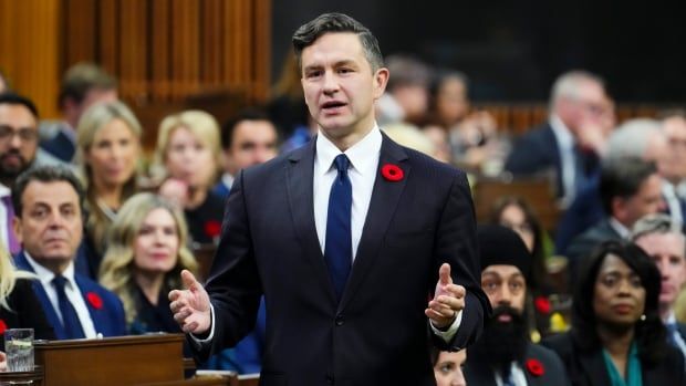 Conservative Leader Pierre Poilievre rises during question period in the House of Commons on Parliament Hill in Ottawa on Tuesday, Nov. 5, 2024.