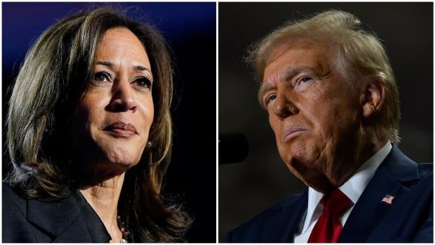 Headshots of Kamala Harris and Donald Trump