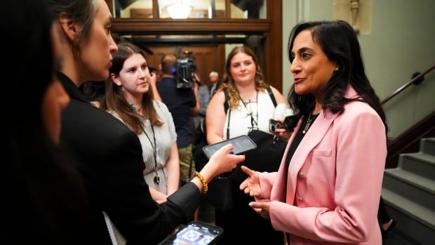 Anita Anand speaks to reporters