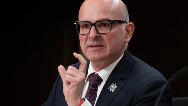 Employment, Workforce Development and Official Languages Minister Randy Boissonnault speaks during a news conference, Tuesday, May 21, 2024 in Ottawa.