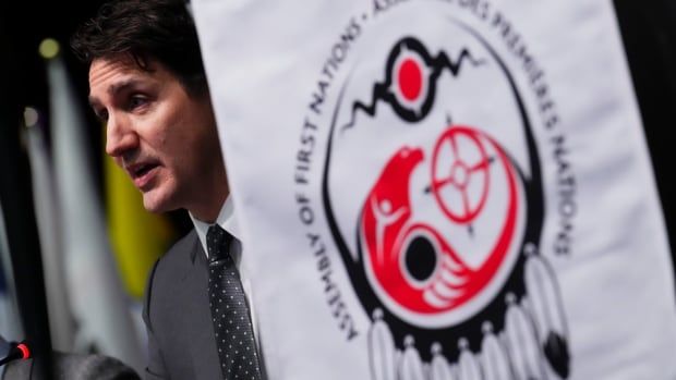 The prime minister on a stage to the left with a close up of the AFN logo in the foreground to his right.