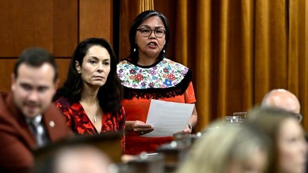 Nunavut MP Lori Idlout, the NDP's Indigenous affairs critic, says Mary Isaac's case raises serious concerns.