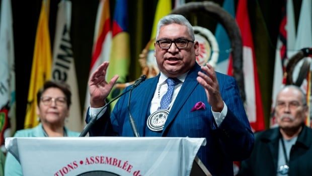 A politician speaks at a podium with First Nations flags behind him.