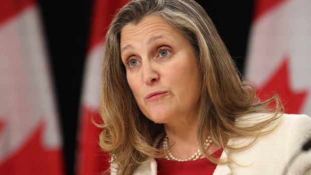 Minister of Finance and Deputy Prime Minister Chrystia Freeland speaks at a press conference in Ottawa on Tuesday, Nov. 19, 2024.