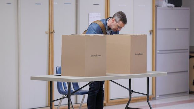 A voter stands behind a polling station, filling out a ballot. 