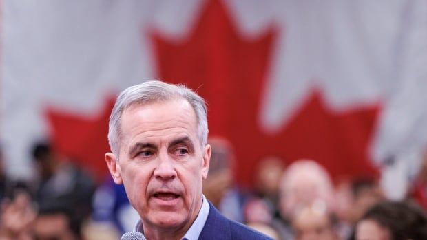 Liberal leadership candidate Mark Carney holds a rally in Scarborough on Feb. 19, 2025.