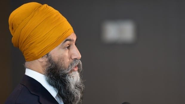 NDP Leader Jagmeet Singh speaks to the media in Montreal on Thursday, Feb. 6, 2025. THE CANADIAN PRESS/Christinne Muschi