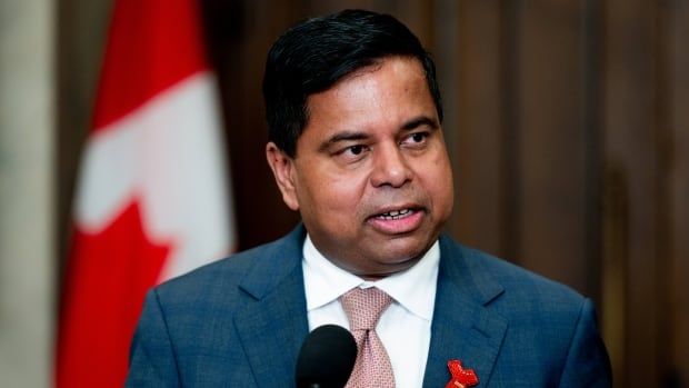 Crown-Indigenous Relations Minister Gary Anandasangaree speaks in the House of Commons on Parliament Hill in Ottawa, on Monday, June 3, 2024.