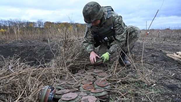 A man in military fatigues crouches next to the grass, revealing a number of metal landmines in the dirt.