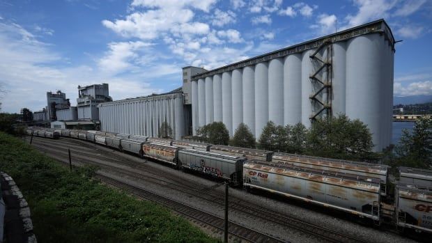 Rail cars beside a large grey grain terminal under a blue, slightly cloudy sky.