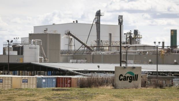 The Cargill beef plant in High River, Alta. Months before it became the site of North America's largest COVID-19 outbreak, people were warning about the insecurity of Canada’s food system.