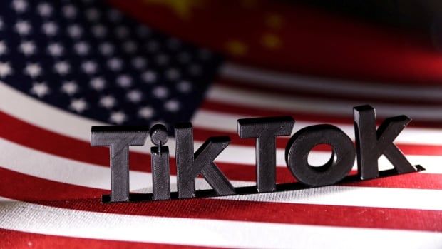 A TikTok logo is pictured on the U.S. and Chinese flags in this illustration. 