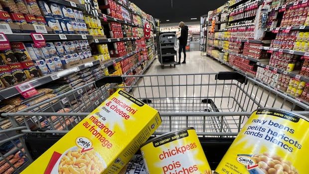 Close up of grocery cart with Canadian No-Name brand products.