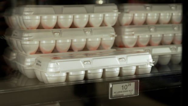 Cartons of eggs sit on a grocery store shelf.