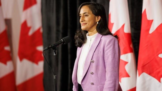 Internal Trade Minister Anita Anand is working with provinces to remove internal trade barriers, which could add $200 billion to the domestic economy.