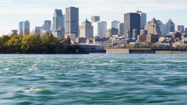 montreal skyline from water