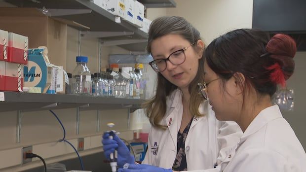 Two scientists in lab