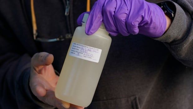 A person wearing a purple glove on one hand holds up a bottle of murky brown liquid.