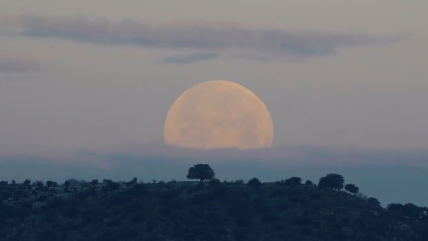 The moon is seen on the horizon, with a forest in the foreground.