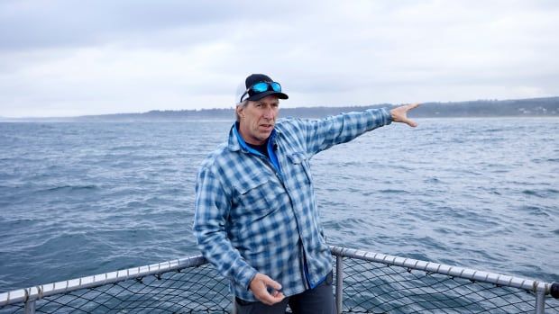 A man wearing a blue checkered shirt is standing on a platform above the ocean. He is pointing out at the ocean. 