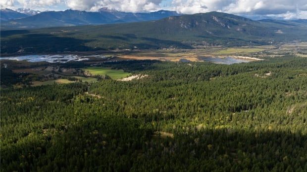 An aerial shot of mountains, trees and a creek.